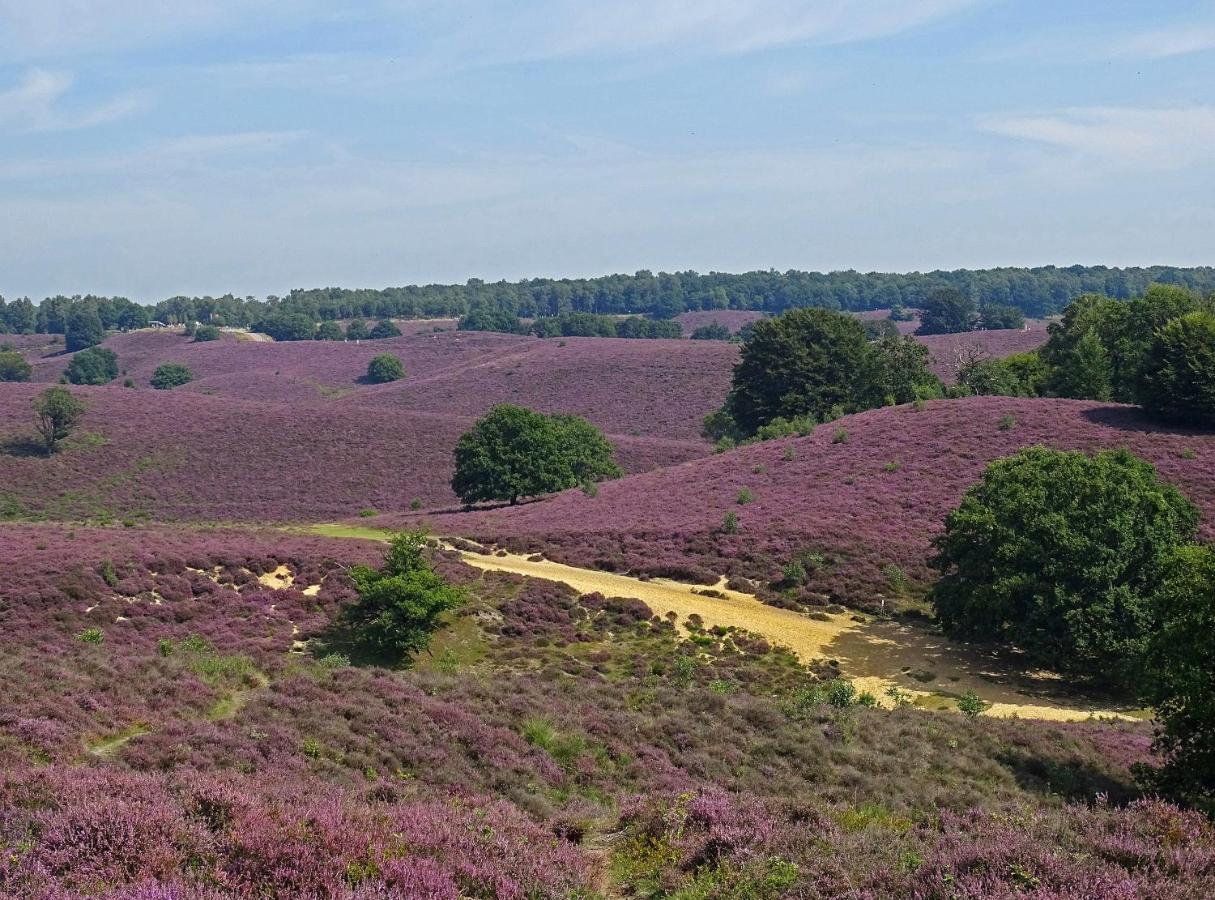 Descansar Op De Veluwe Chalet *